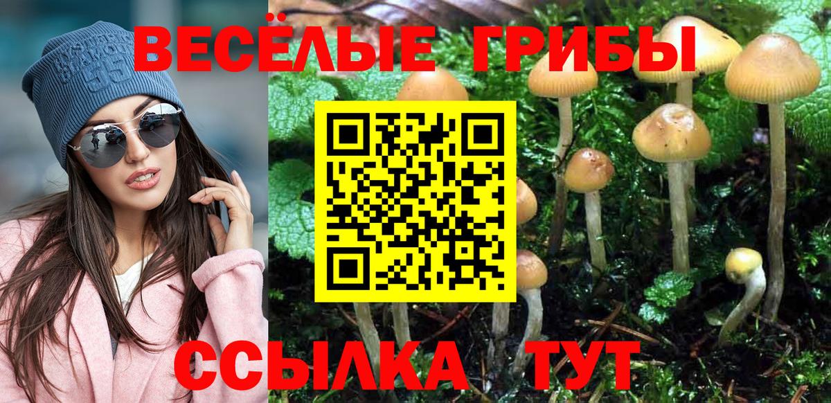 Аргун  Псилоцибиновые грибы MAGIC MUSHROOMS  Псилоцибиновые грибы мицелий  Вход с VPN 
