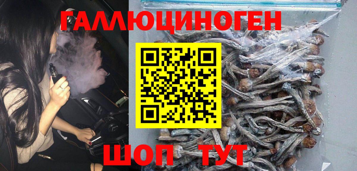 Псилоцибиновые грибы мухоморы Аргун